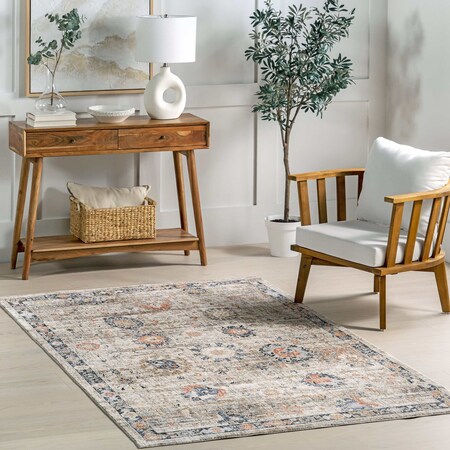Nuloom Acelynn Distressed Traditional Area Rug 5ft x 8ft MLGS01A-508